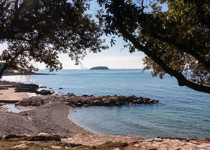 公寓 In - Istrien 36665